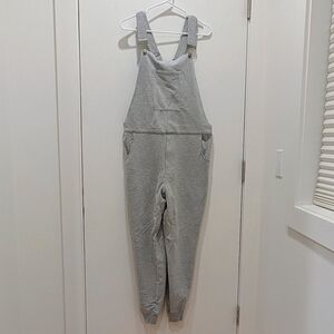 Swoveralls, Gray, Large